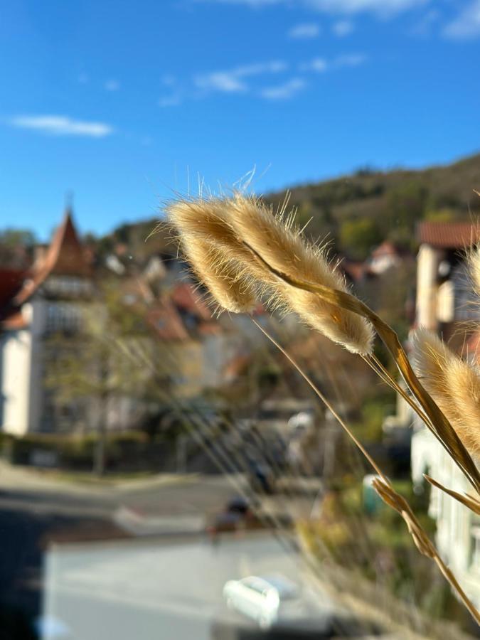 Turm.Blick Goslar Exterior foto